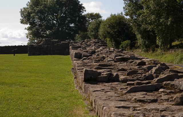 IMGP4794.jpg - It's a great wall. No it isn't, it's Hadrian's Wall.