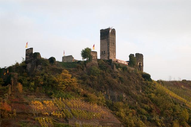 IMGP5324bib.jpg - Castle at Beilstein.